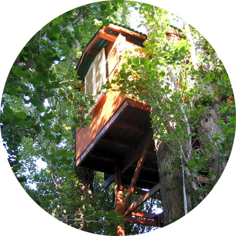 A Kid's Tree-house built by Dad